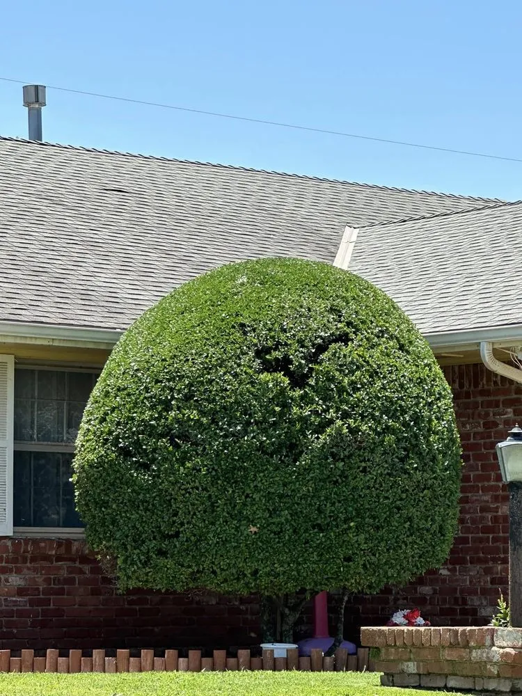 Affordable landscape installation for residential properties in Oklahoma City, OK by H&M Landscaping