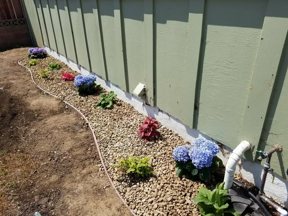 Top-rated lawn care service for beautiful yards across Oxnard, CA - HM Landscaping