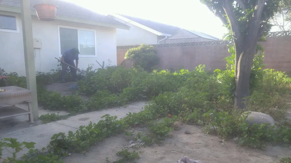 Affordable yard maintenance for year-round maintenance in Oxnard, CA by HM Landscaping