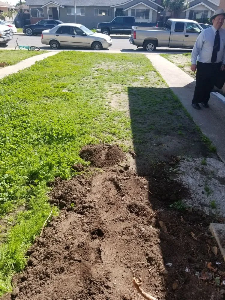 Reliable yard cleanup service experts serving Oxnard, CA - HM Landscaping