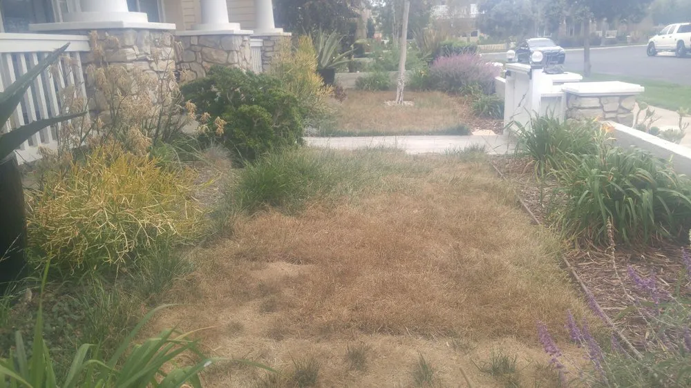 Reliable lawn care service for homes across Oxnard, CA - HM Landscaping