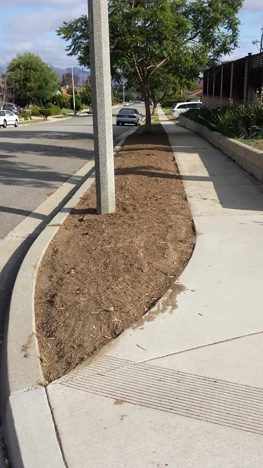 Local garden landscaping in Oxnard, CA by HM Landscaping