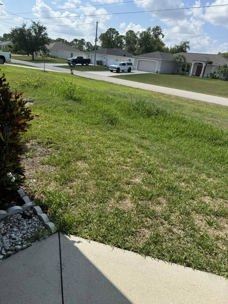 Trusted landscape design for outdoor upgrades in Bonita Springs, FL by H&M Landscaping Services