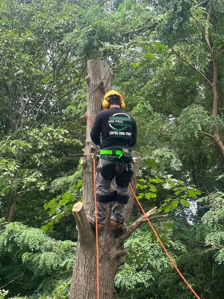 Custom residential landscaping in Lynn, MA by HM Pro Landscaping