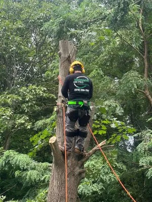 HM Pro Landscaping Logo