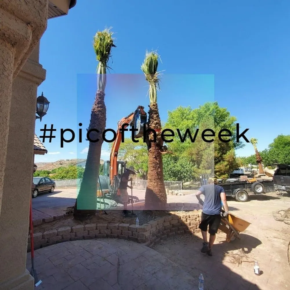 Expert landscape design for homes across St. George, UT - H&M Stone and Gardens