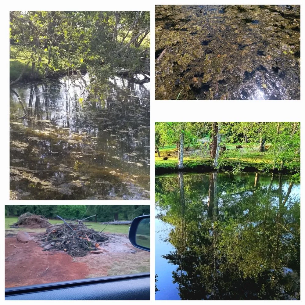 Local yard maintenance with custom design in McMinnville, OR by H&M Top-Notch Landscaping