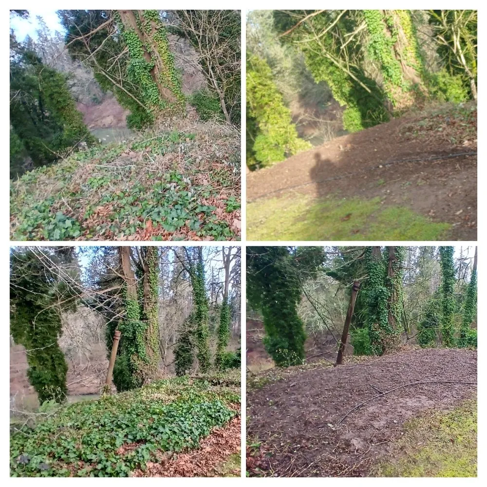 Custom garden landscaping in McMinnville, OR - H&M Top-Notch Landscaping