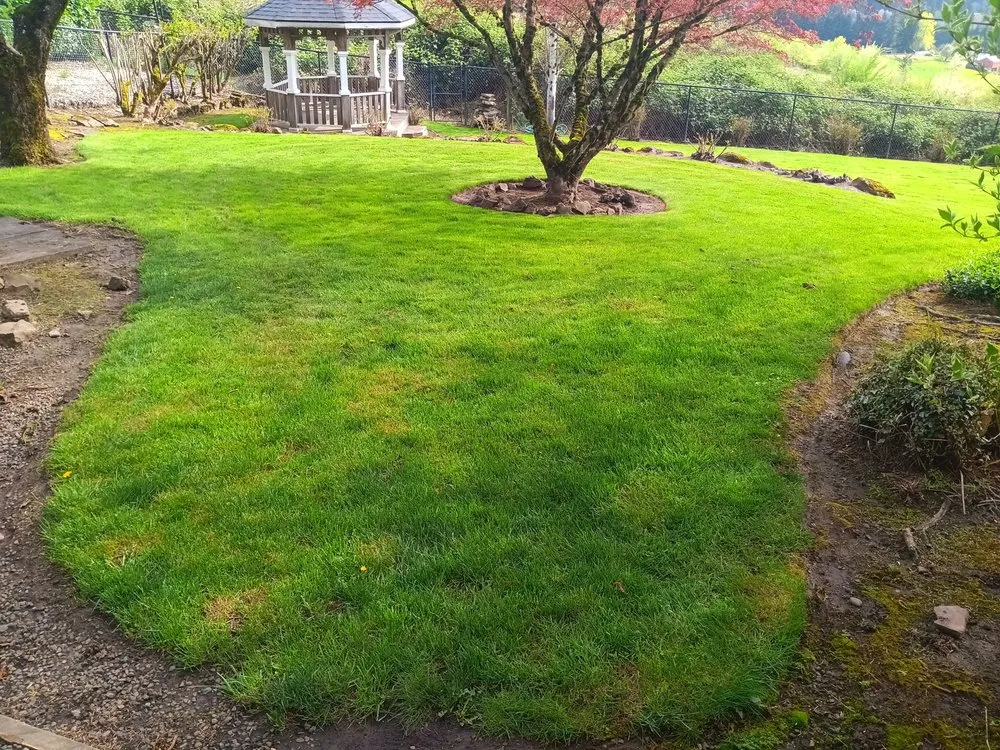 Top-rated lawn mowing service in McMinnville, OR by H&M Top-Notch Landscaping