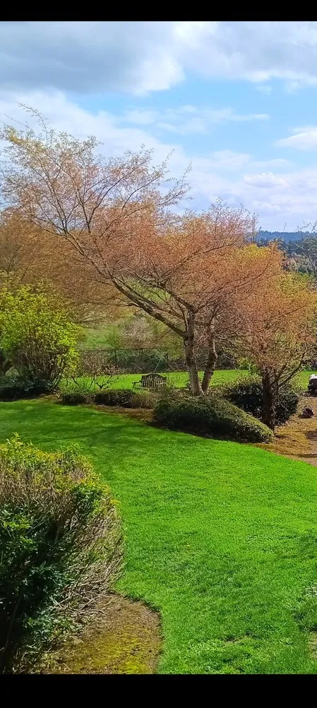 Top-rated lawn mowing service in McMinnville, OR - H&M Top-Notch Landscaping