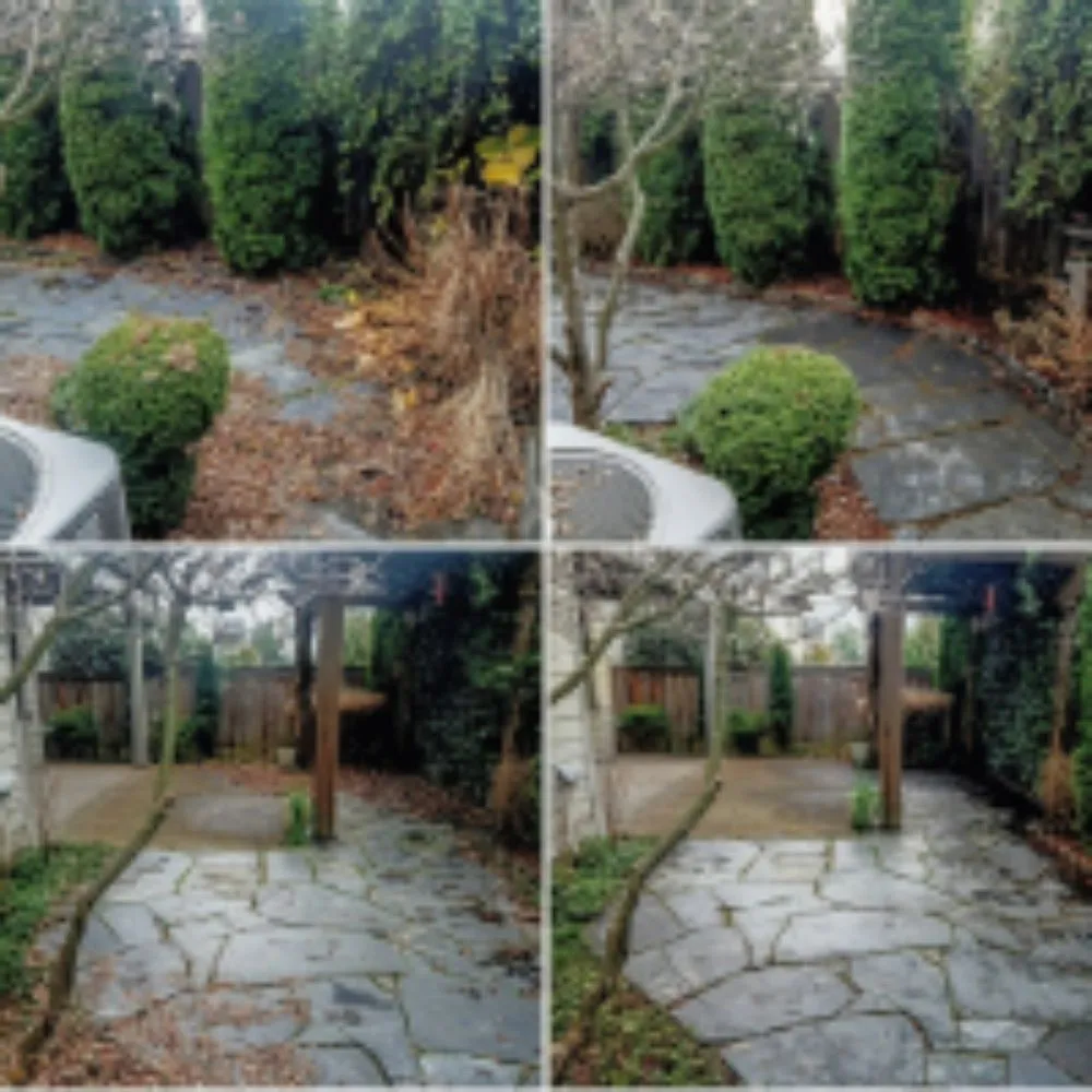 Expert yard cleanup service in McMinnville, OR by H&M Top-Notch Landscaping