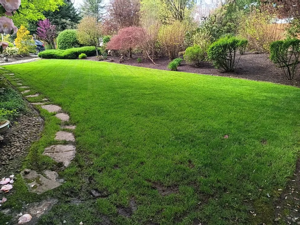Expert landscaping services in McMinnville, OR by H&M Top-Notch Landscaping