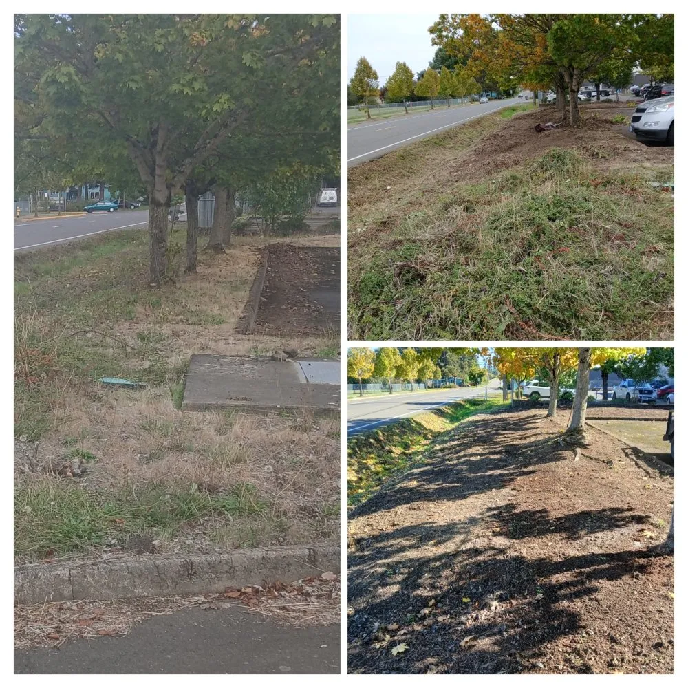 Trusted landscaping services in McMinnville, OR by H&M Top-Notch Landscaping