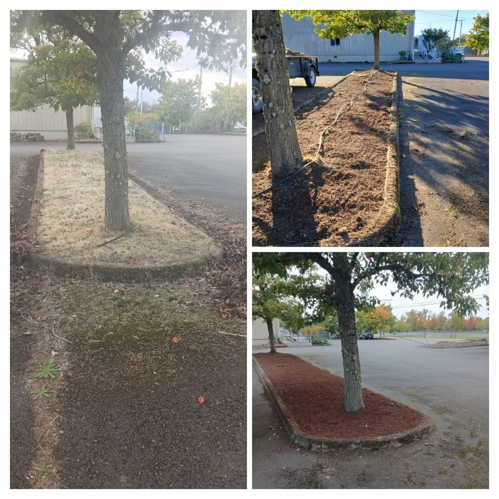 Affordable lawn care service in McMinnville, OR by H&M Top-Notch Landscaping