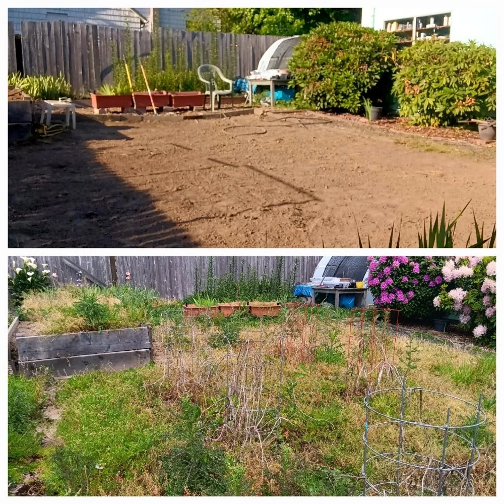 Affordable yard cleanup service in McMinnville, OR by H&M Top-Notch Landscaping