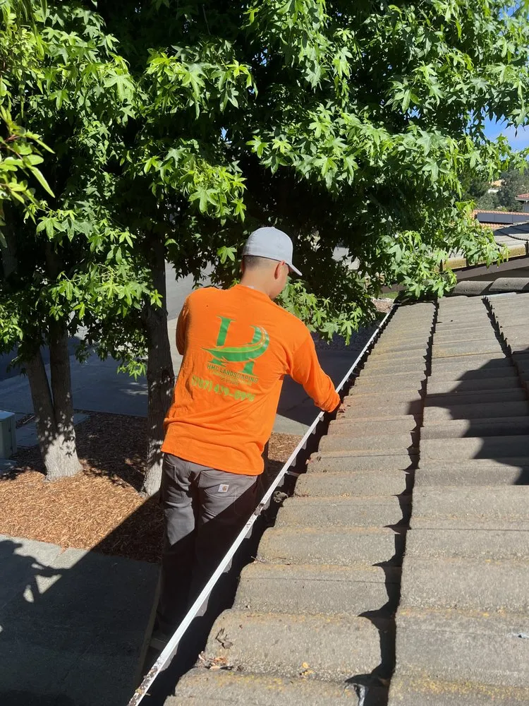 Custom yard cleanup service in Cotati, CA by HMC Landscaping