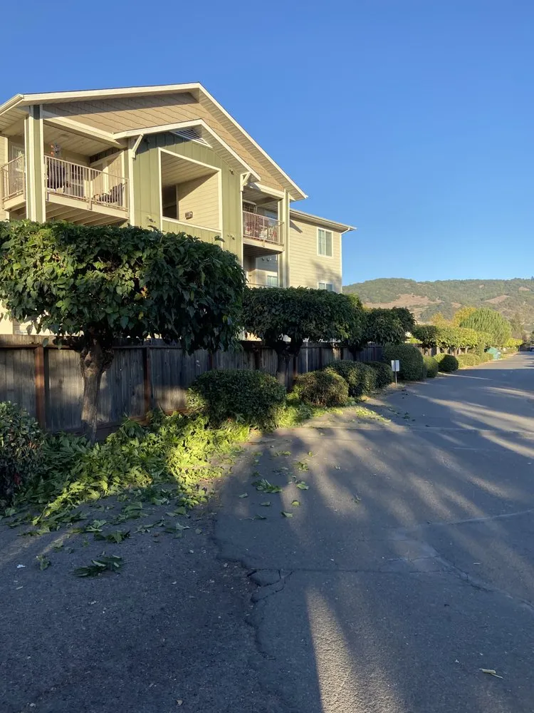 Trusted outdoor landscaping for outdoor upgrades in Cotati, CA by HMC Landscaping