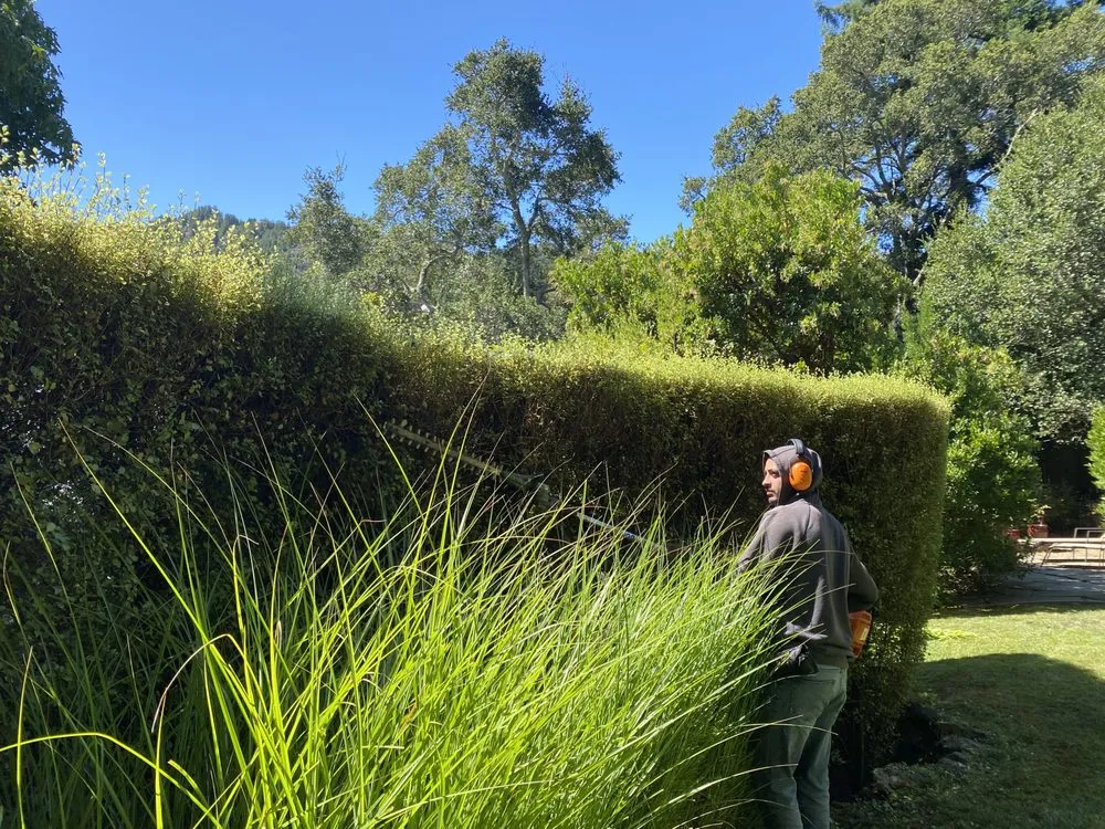 Trusted lawn care service experts serving Cotati, CA - HMC Landscaping