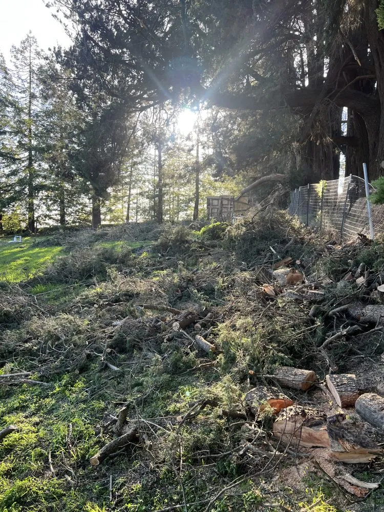 Top-rated yard maintenance for outdoor upgrades across Cotati, CA - HMC Landscaping