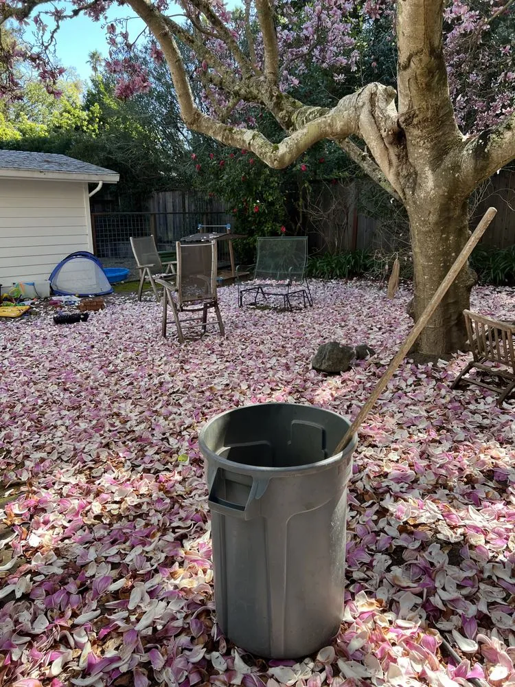 Custom landscape installation for residential properties across Cotati, CA - HMC Landscaping