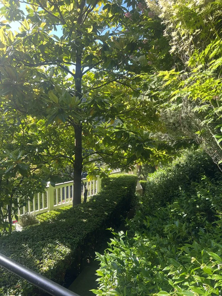 Affordable landscaping services near you in Cotati, CA by HMC Landscaping