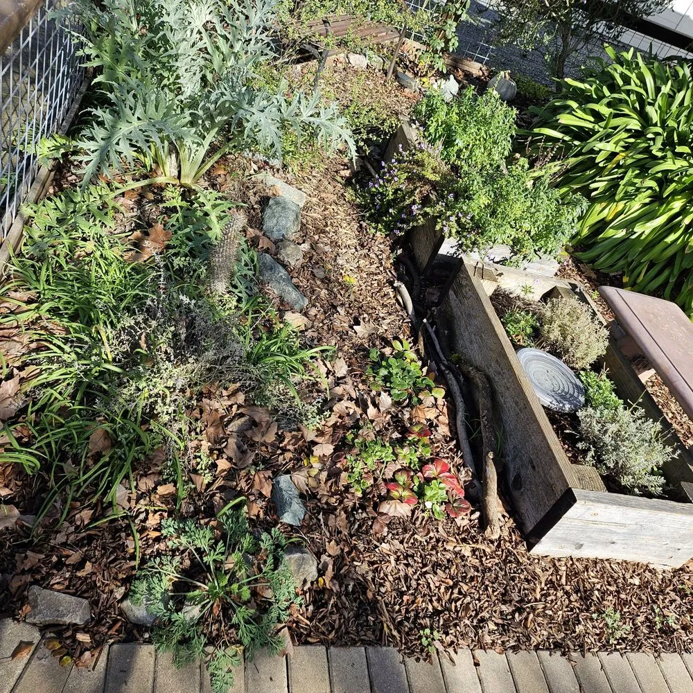 Expert yard maintenance for homes across Cotati, CA - HMC Landscaping