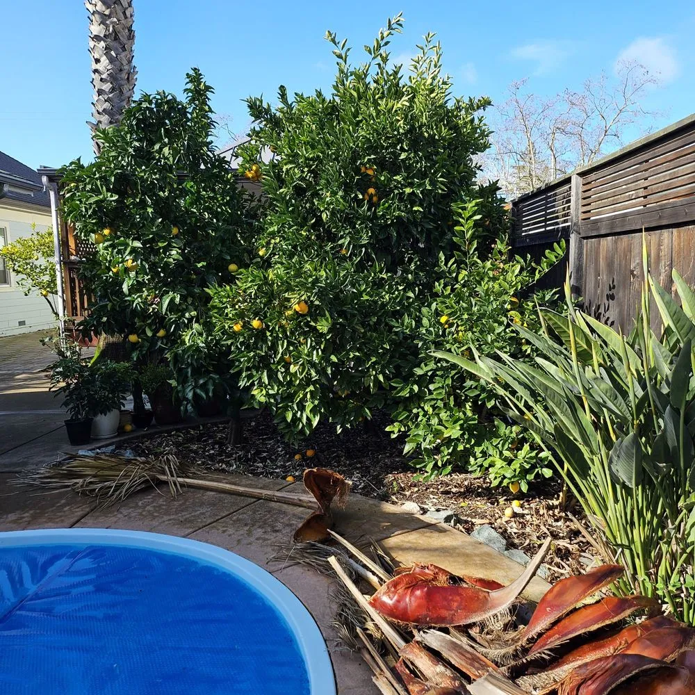 Reliable landscape installation near you across Cotati, CA - HMC Landscaping