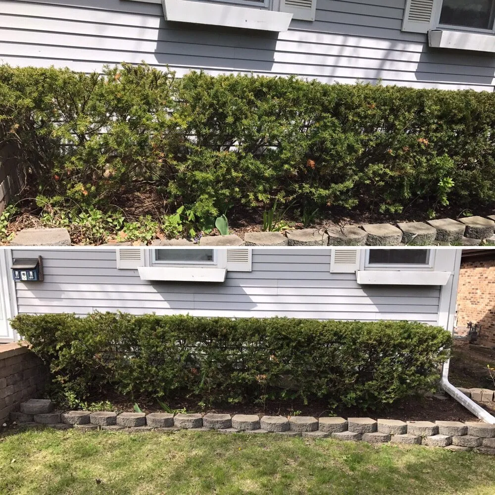 Trusted yard maintenance with custom design across Waukegan, IL - Hmc Landscaping