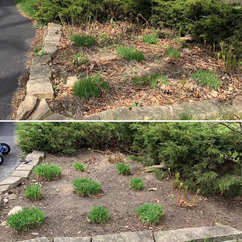 Custom yard cleanup service near you across Waukegan, IL - Hmc Landscaping