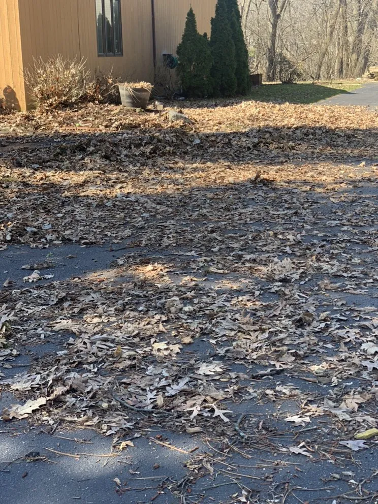 Local yard maintenance in Waukegan, IL by Hmc Landscaping