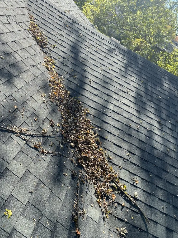 Trusted lawn care service in Muncie, IN - HMC lawn care