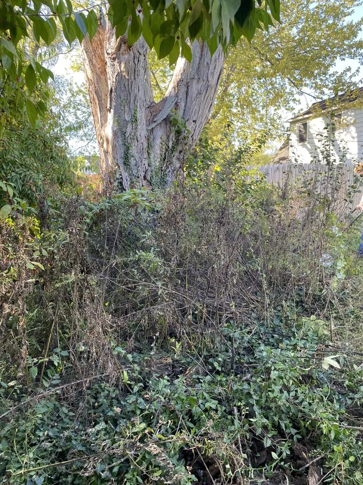 Reliable landscape design in Muncie, IN by HMC lawn care