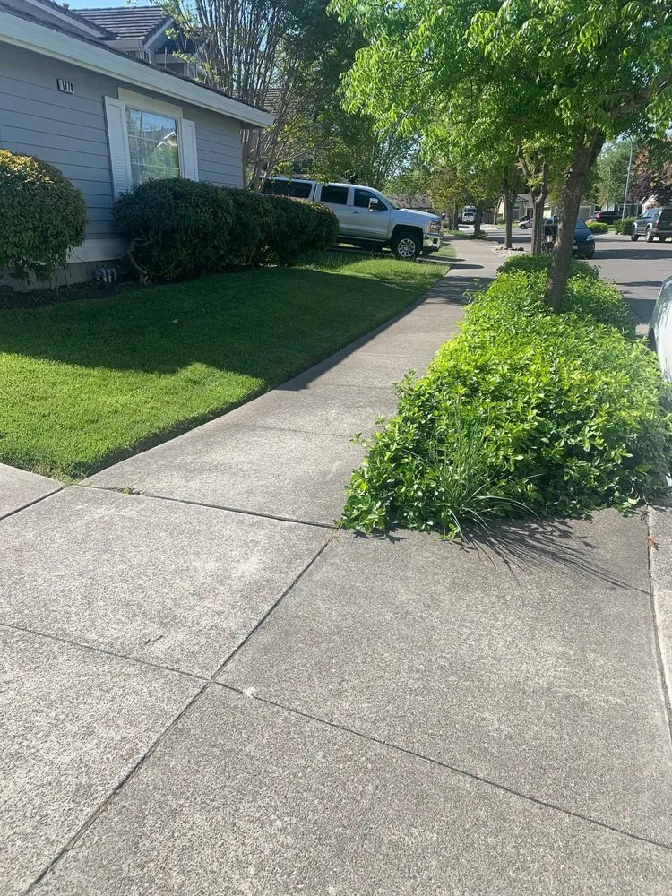 Affordable lawn mowing service in Petaluma, CA by HMD Landscapes