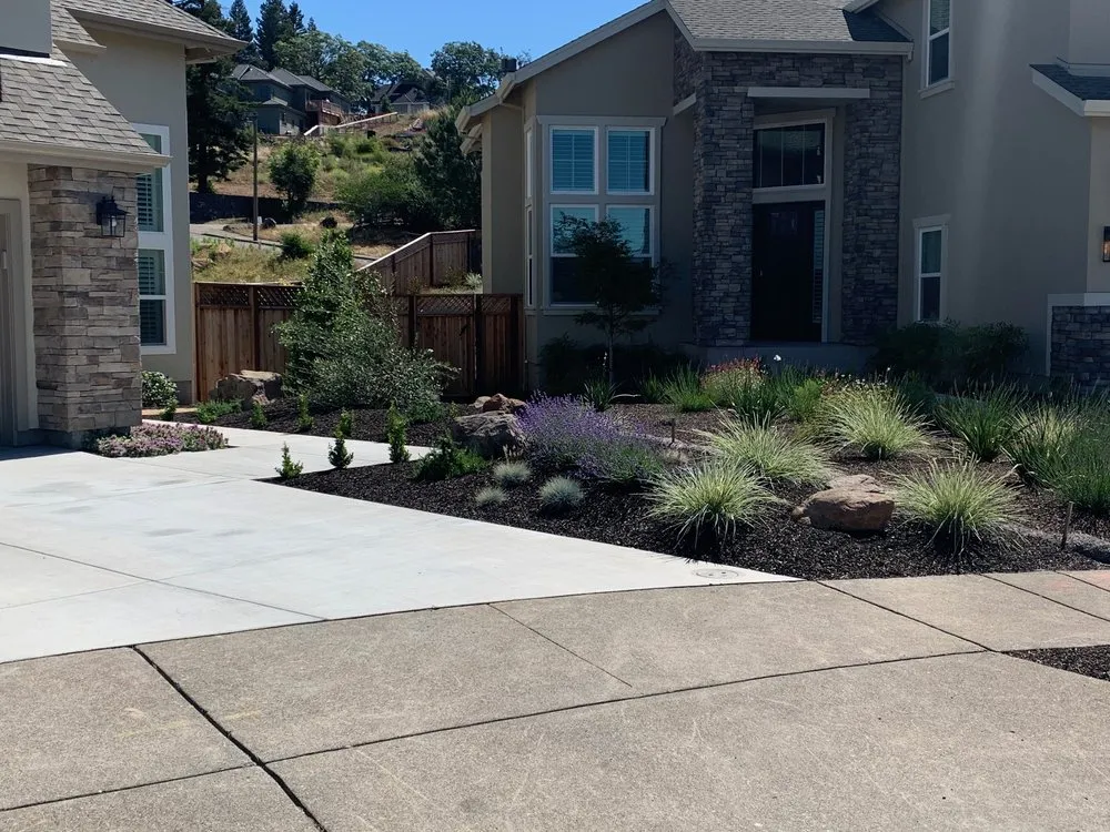 Reliable yard maintenance for residential properties across Petaluma, CA - HMD Landscapes
