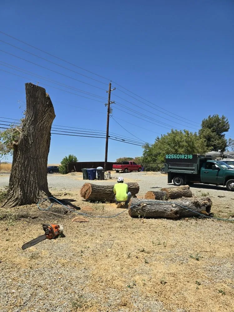 Professional residential landscaping for homes in Antioch, CA by HMG Landscaping & Tree Serv