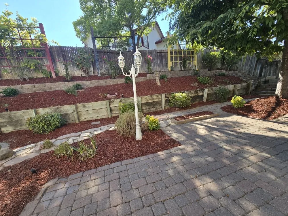 Custom landscape design for year-round maintenance in Antioch, CA by HMG Landscaping & Tree Serv