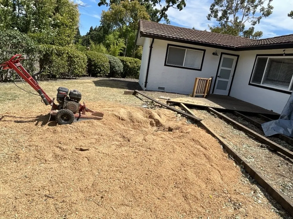 Professional outdoor landscaping in Antioch, CA by HMG Landscaping & Tree Serv