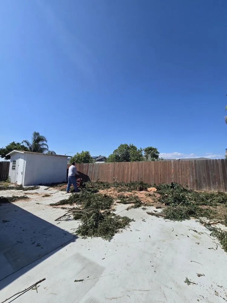 Custom yard cleanup service with custom design across Antioch, CA - HMG Landscaping & Tree Serv