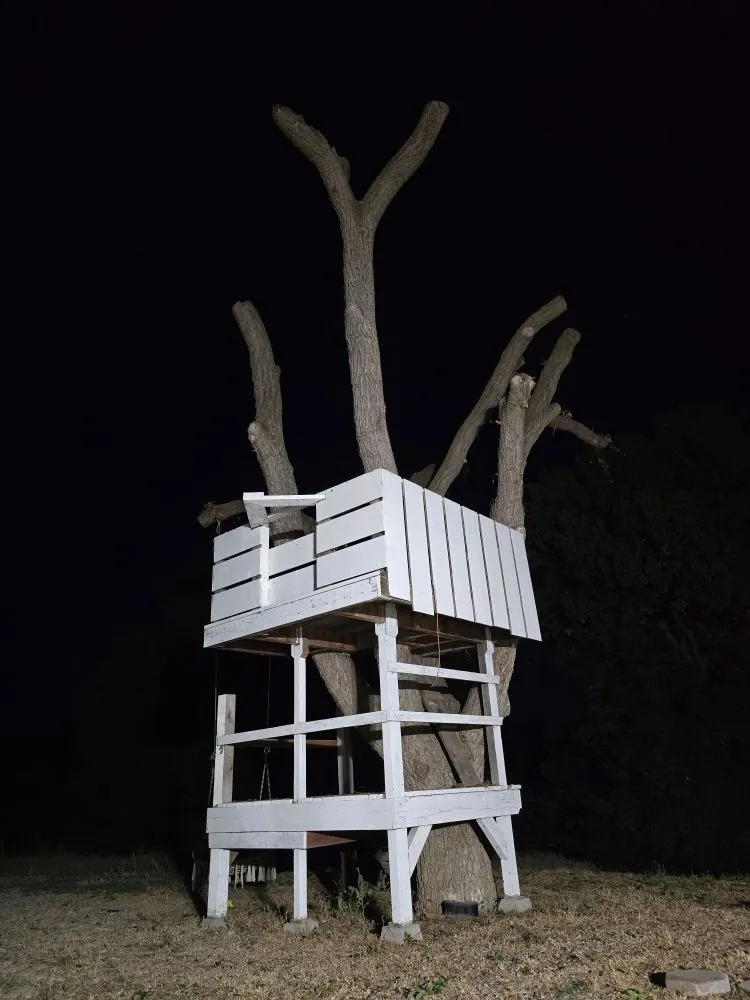 Reliable lawn mowing service for year-round maintenance across Antioch, CA - HMG Landscaping & Tree Serv