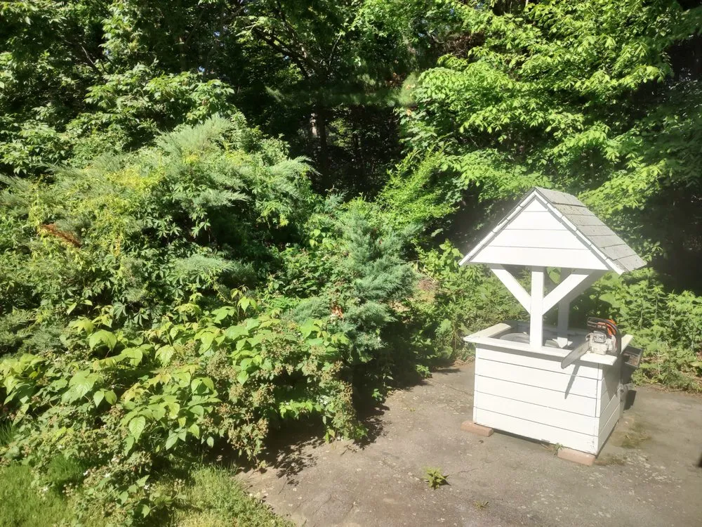 Expert landscape design experts serving Raynham, MA - HMG Property Management