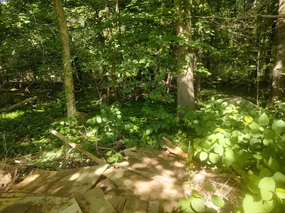 Trusted residential landscaping in Raynham, MA by HMG Property Management