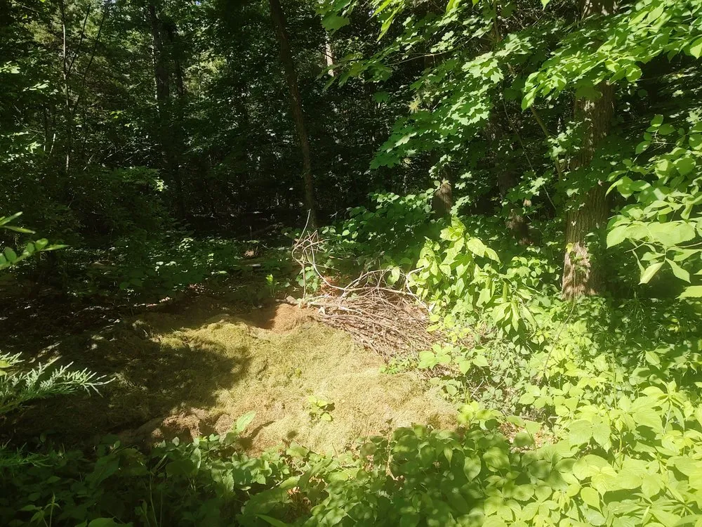 Professional landscape installation for outdoor upgrades in Raynham, MA by HMG Property Management