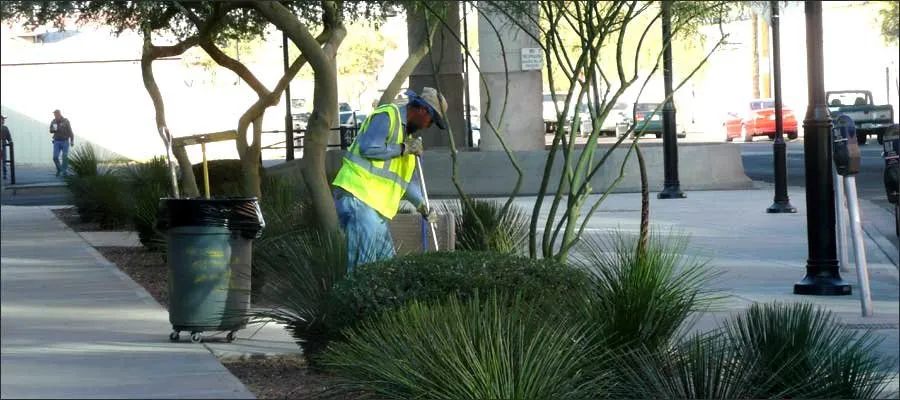 Local lawn mowing service for year-round maintenance across Phoenix, AZ - HMI Commercial Landscape