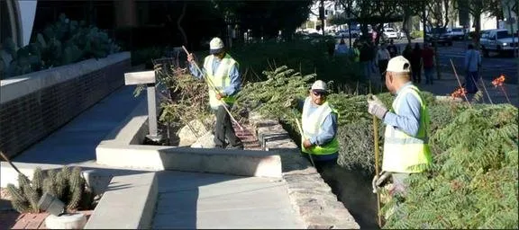 Custom lawn care service for year-round maintenance across Phoenix, AZ - HMI Commercial Landscape