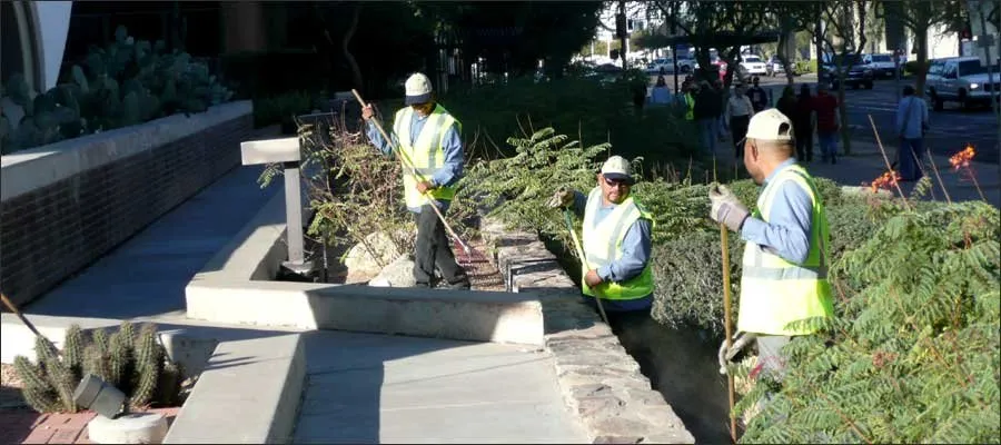 Reliable garden landscaping for beautiful yards across Phoenix, AZ - HMI Commercial Landscape