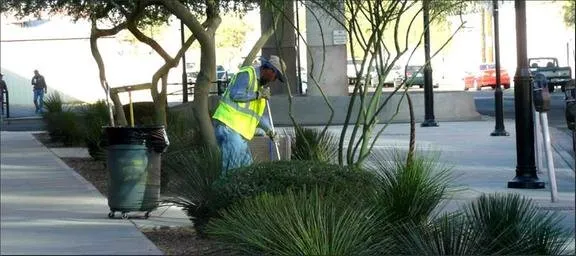 Professional landscaping services experts serving Phoenix, AZ - HMI Commercial Landscape