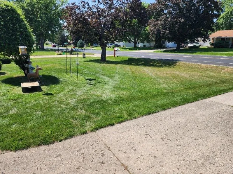 Local landscape design in Beloit, WI by HMT Industries