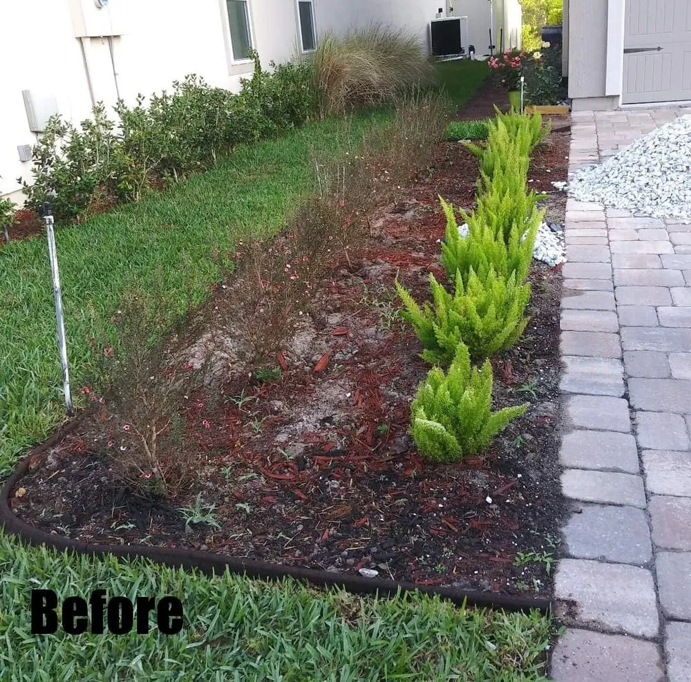 Top-rated lawn care service experts serving Jacksonville, FL - HMV Landscaping
