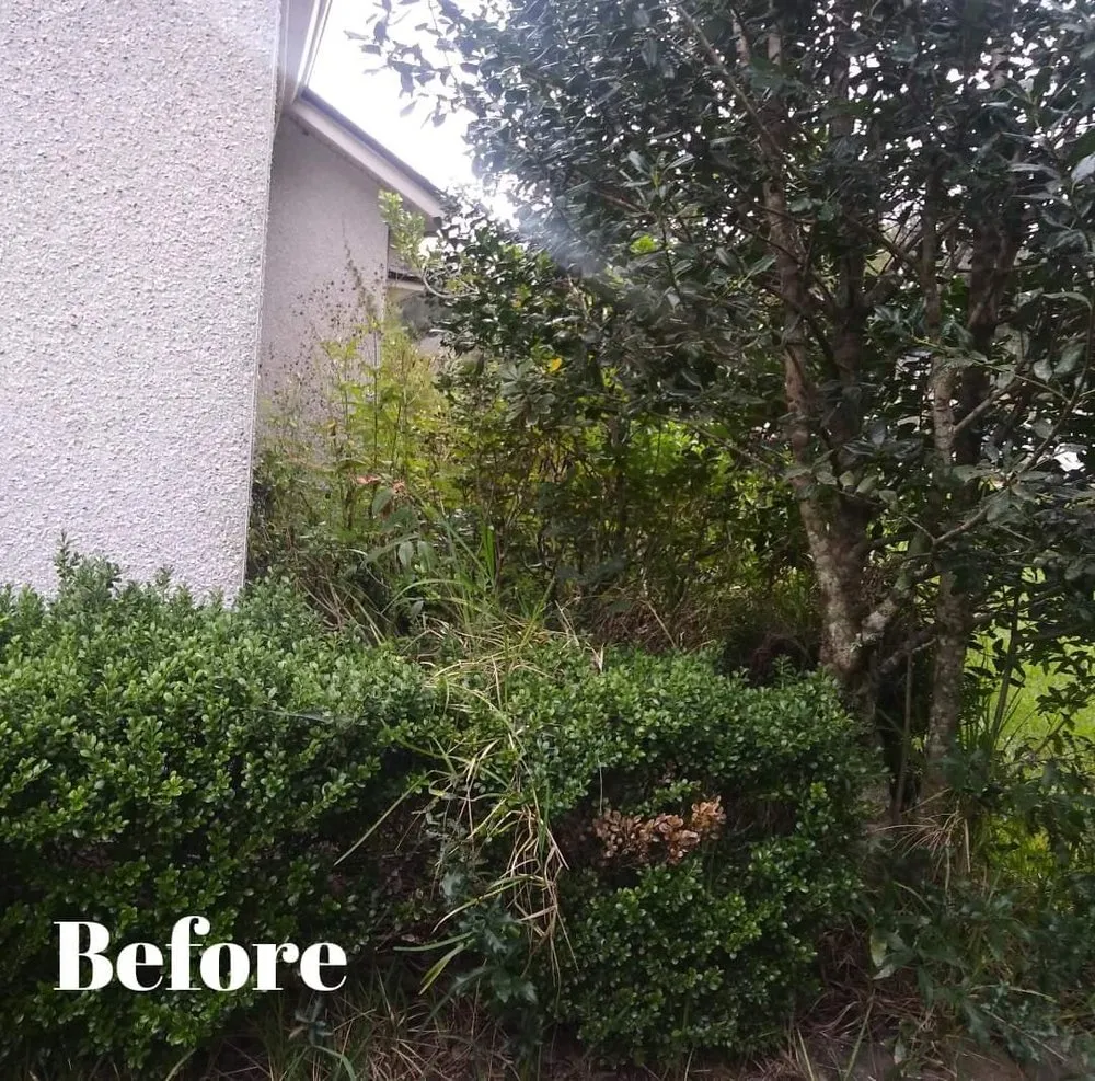Professional yard cleanup service in Jacksonville, FL by HMV Landscaping
