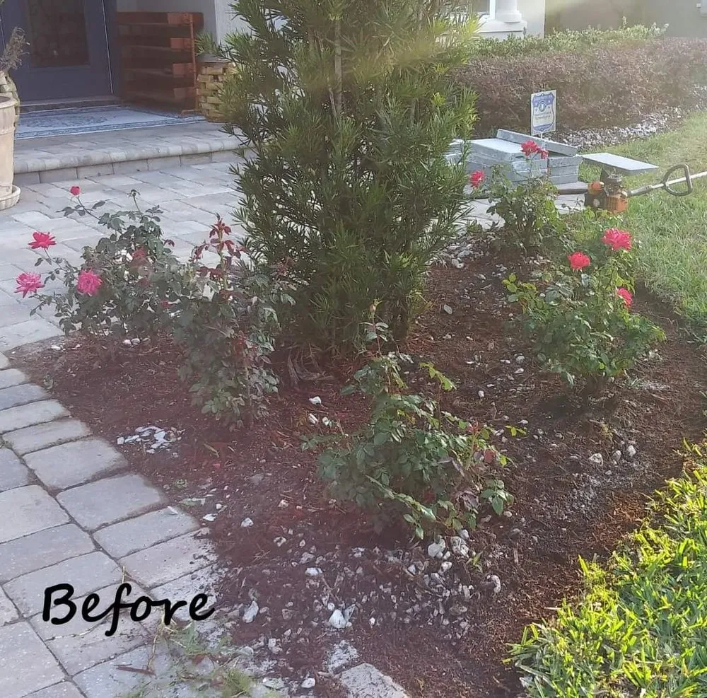 Custom yard cleanup service with custom design in Jacksonville, FL by HMV Landscaping